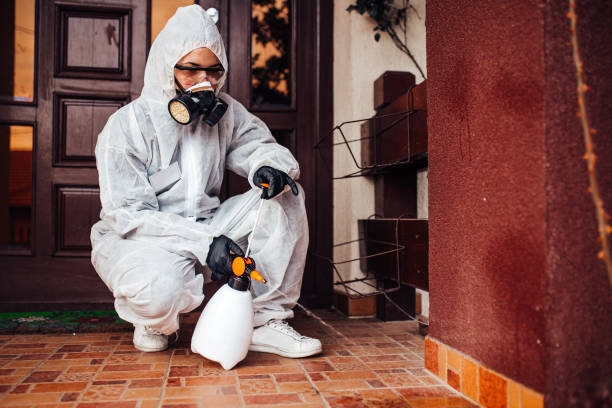 Reliable Wasp Removal contractor in Woodlake, CA by Show Me Pest Control